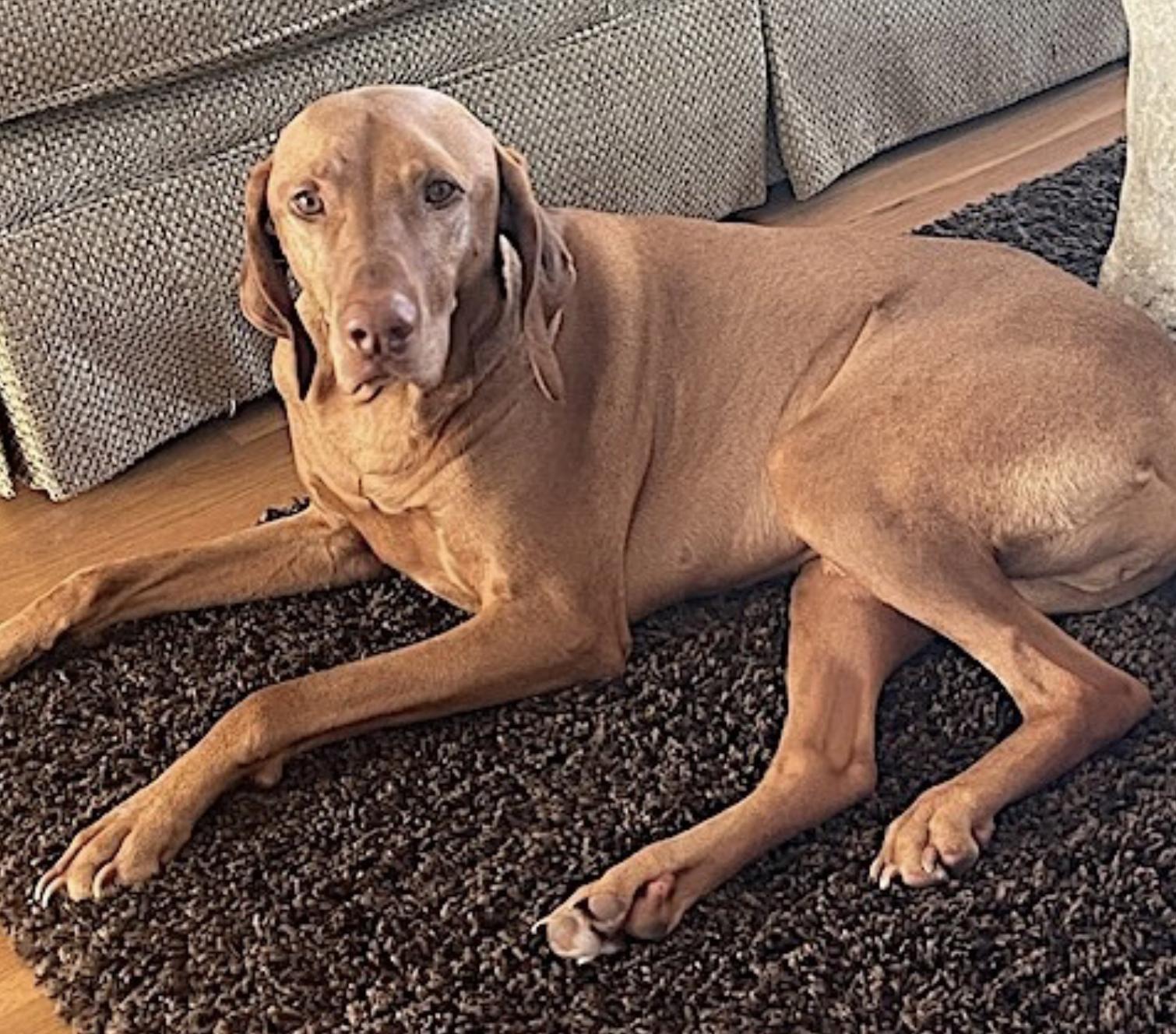 Harrison — thumbnail 4