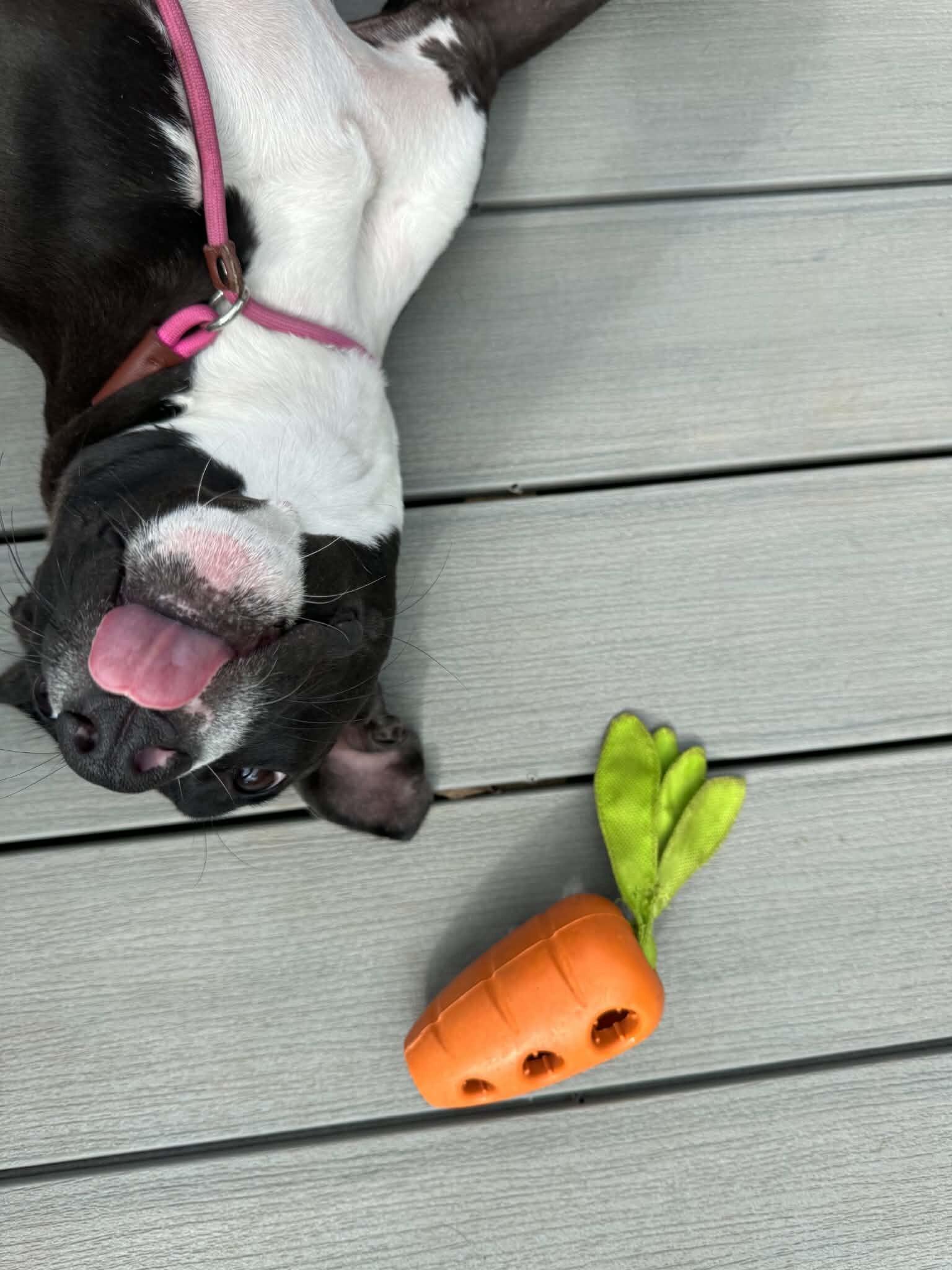 Peach, a Adoptable Boxer in Austin, TX image 2/6