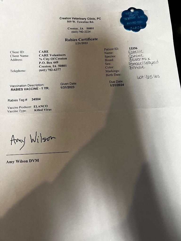 Estelle, a Adoptable Pit Bull Terrier in Boone, IA image 1/5