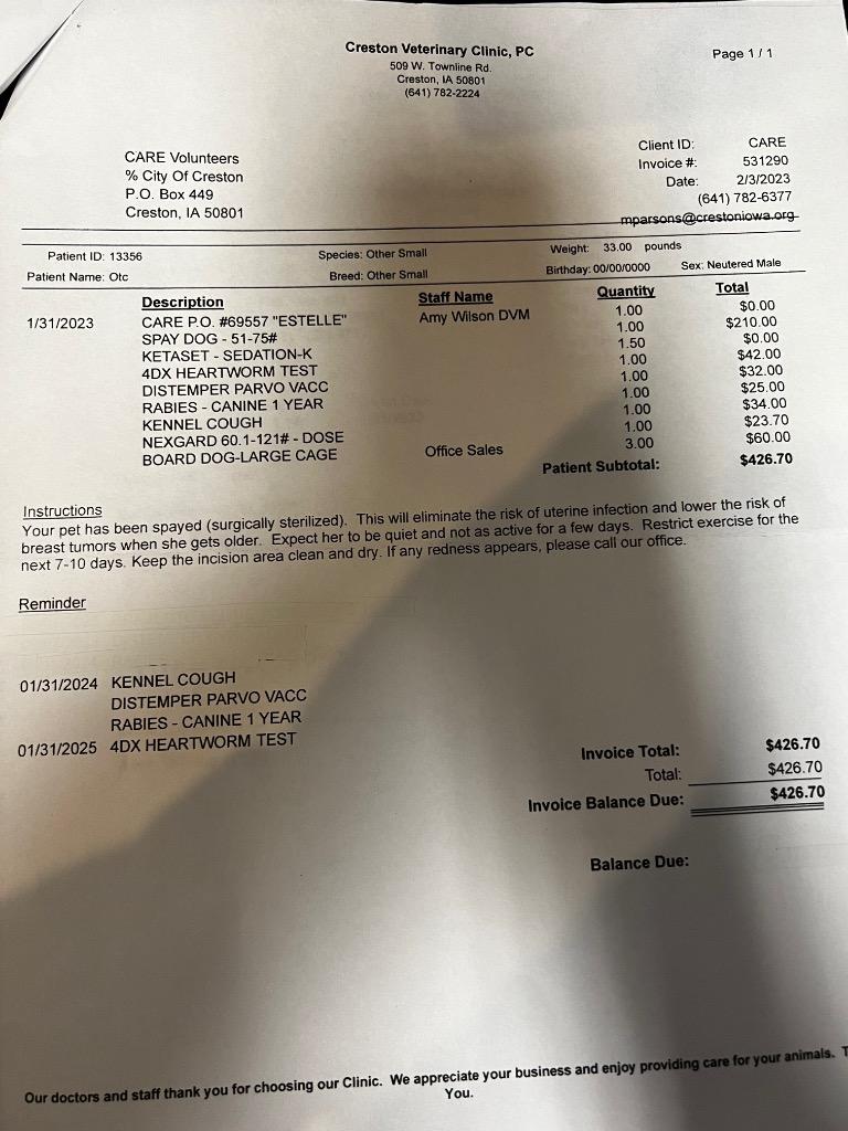 Estelle, a Adoptable Pit Bull Terrier in Boone, IA image 3/5