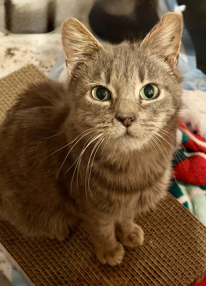 Egypt — thumbnail 3