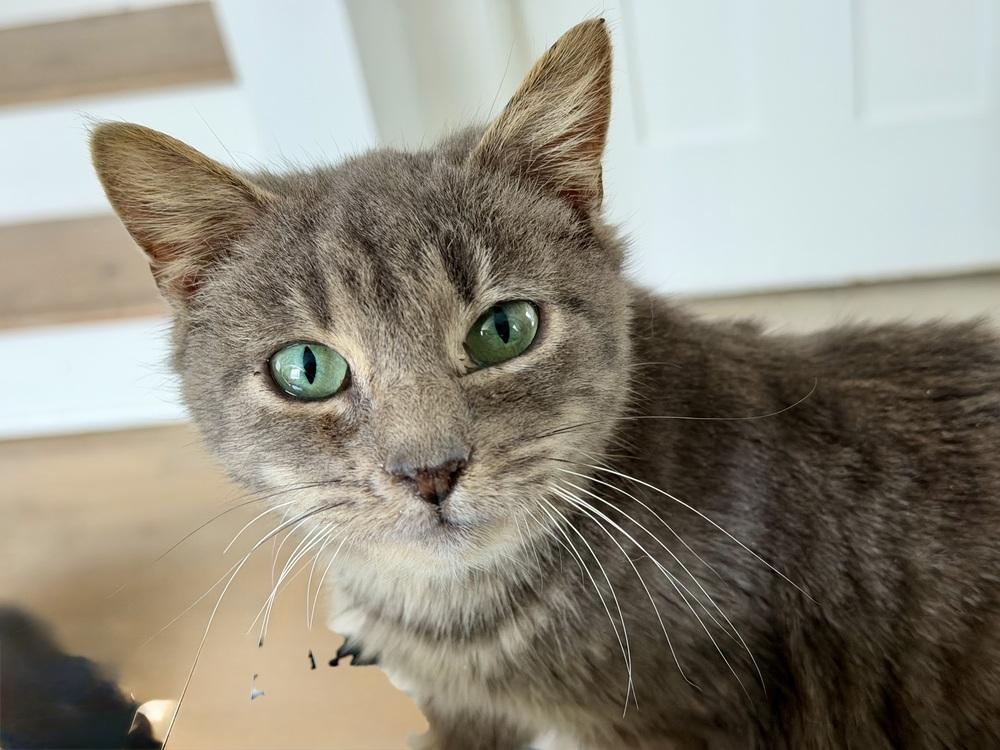 Egypt — thumbnail 4