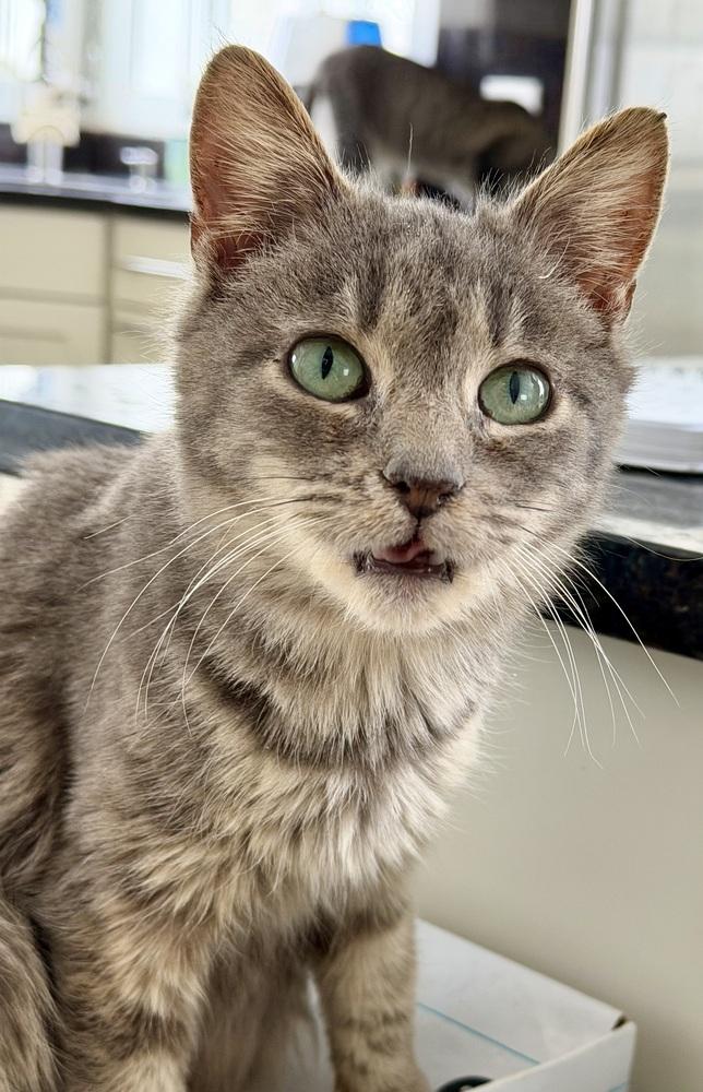 Egypt — thumbnail 5