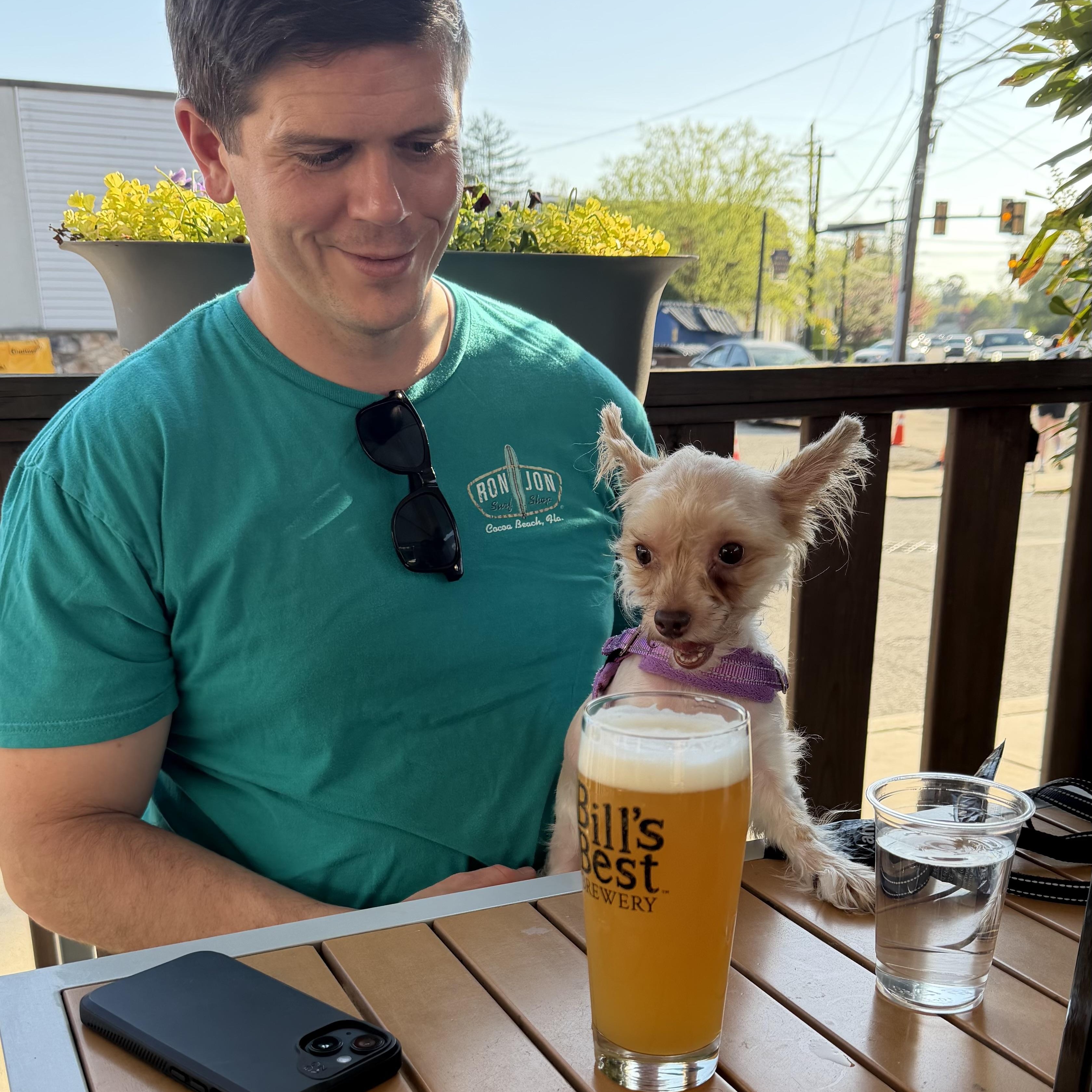 Enlarge Ginger, a ADOPTABLE mixed breed in Abington, PA image 5/6