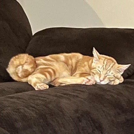 Carlton — thumbnail 3