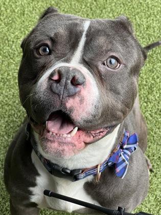 Bob Barker — thumbnail 3