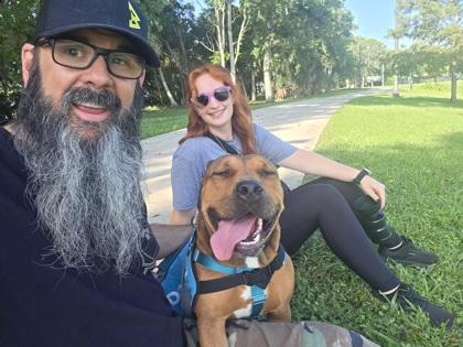 Mabel - 2, a Adoptable mixed breed in Daytona Beach, FL image 3/3