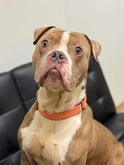 Craig — thumbnail 2