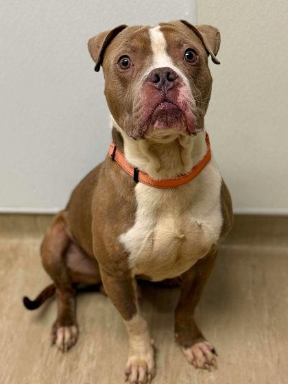 Craig — thumbnail 3