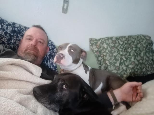 Enlarge Princess Nellie, a Adoptable mixed breed in Sacramento, CA image 2/4