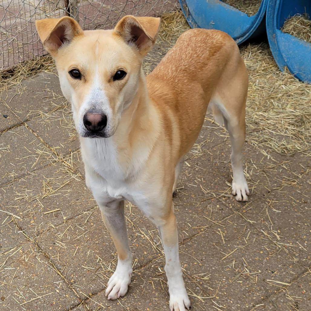 Michaelangelo — thumbnail 2