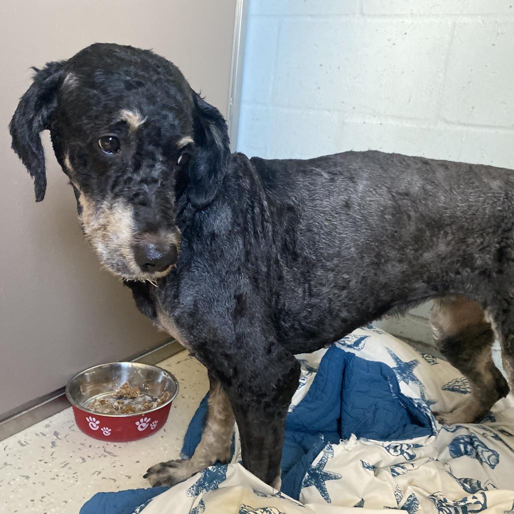 Whoopsie Daisy thumbnail 3