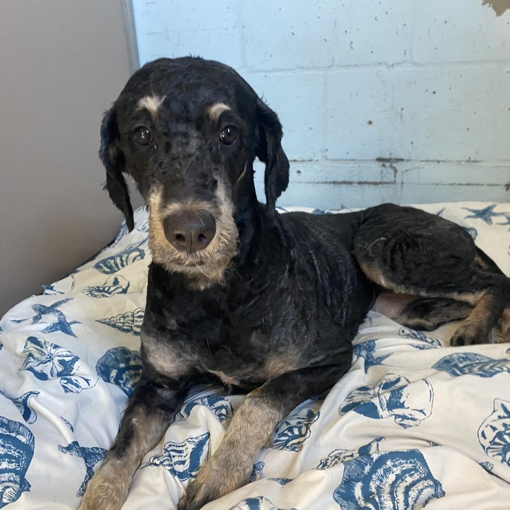 Whoopsie Daisy thumbnail 6