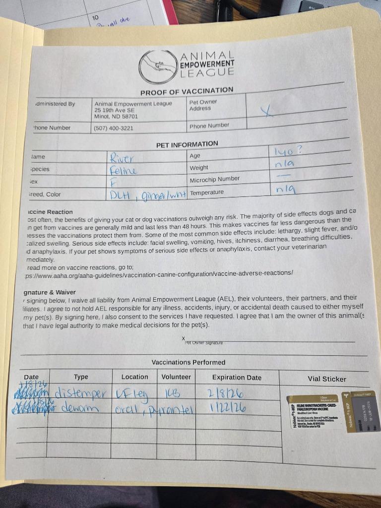 Enlarge River, a Adopted mixed breed in Minot, ND image 3/3