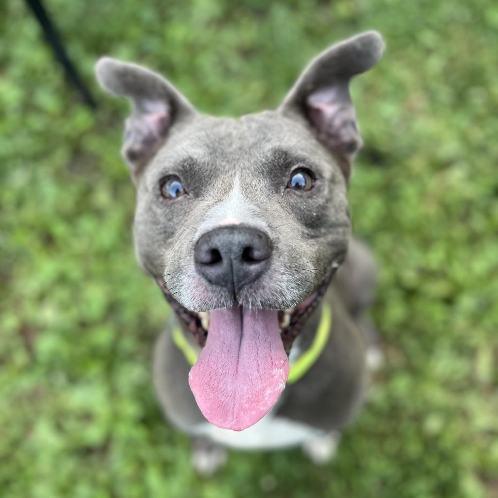 Mufasa — thumbnail 3