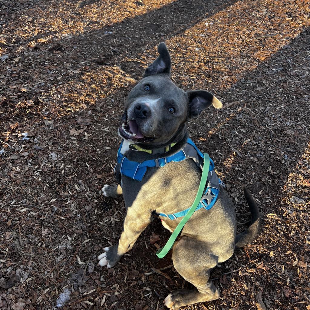 Mufasa — thumbnail 4