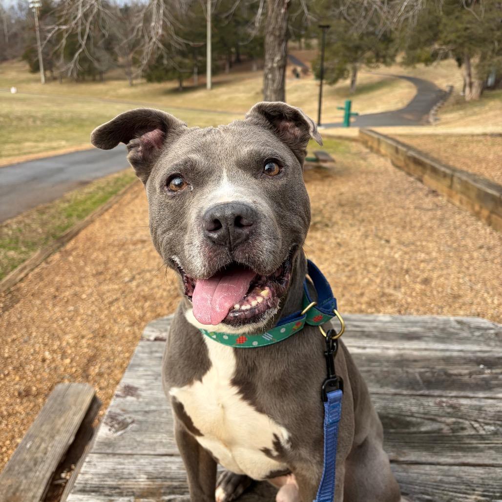 Mufasa — thumbnail 5