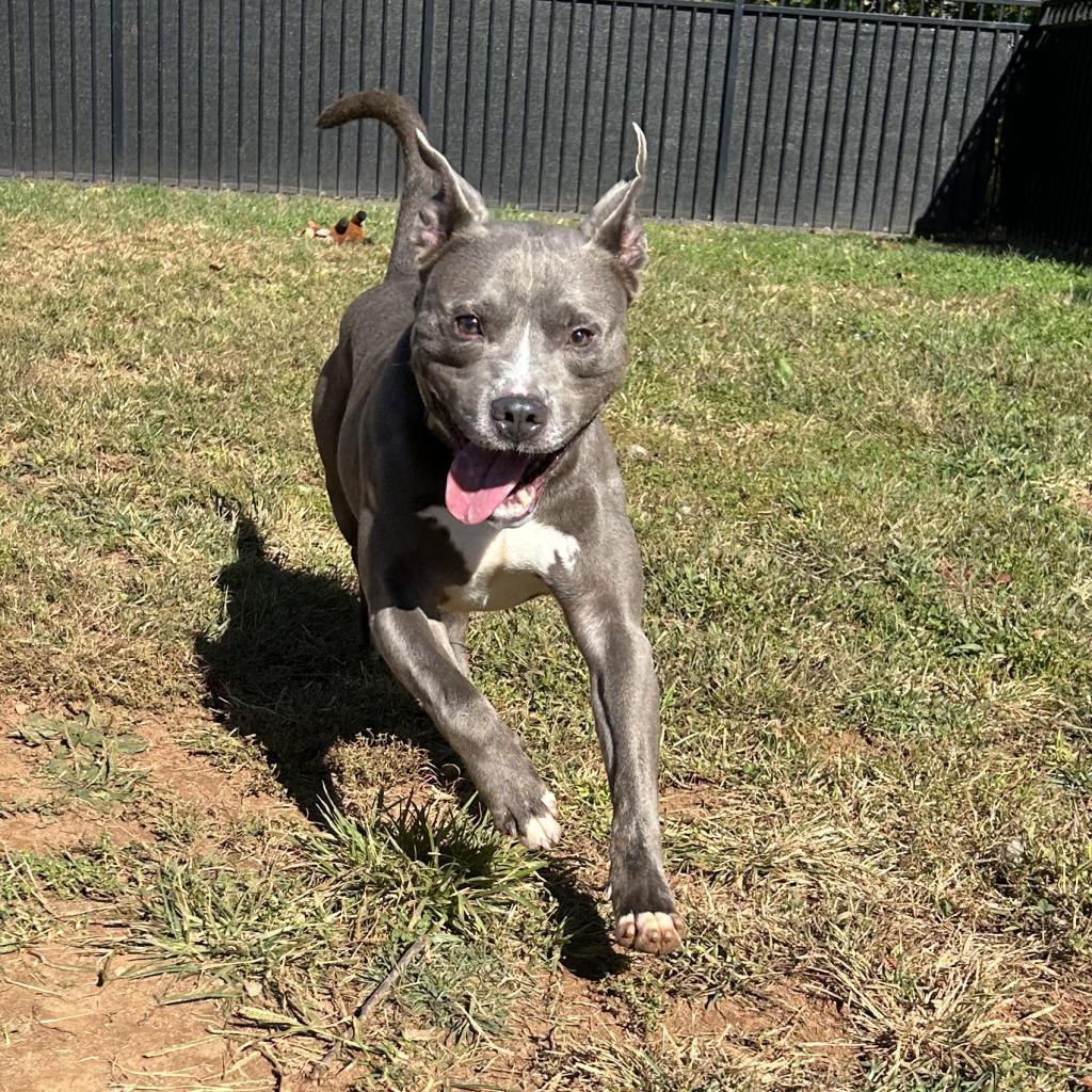 Mufasa — thumbnail 6