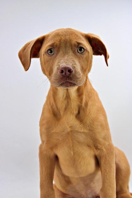 Olivia — thumbnail 2