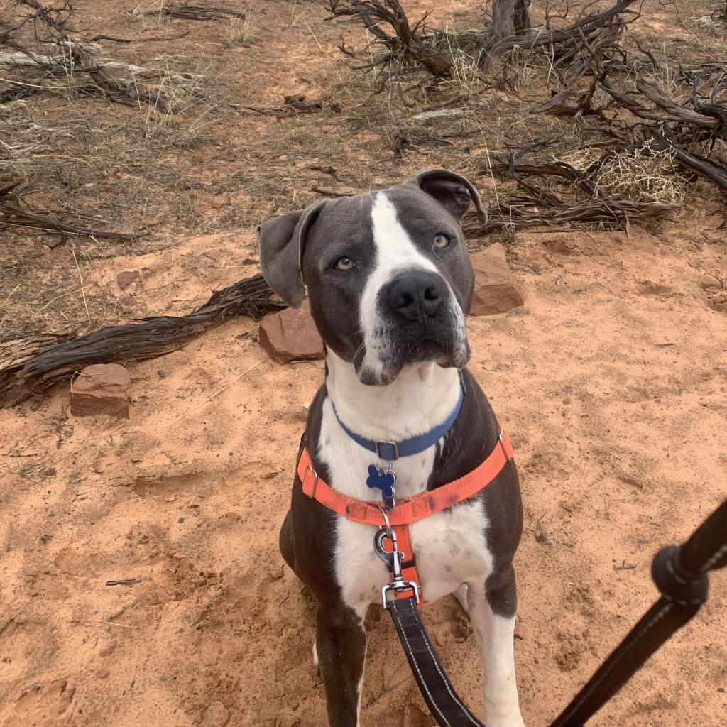 Slim — thumbnail 2