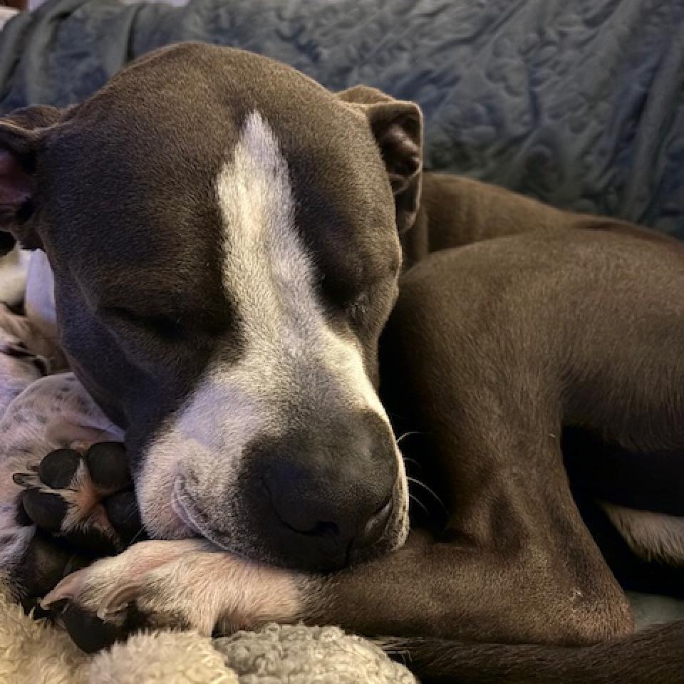 Slim — thumbnail 3