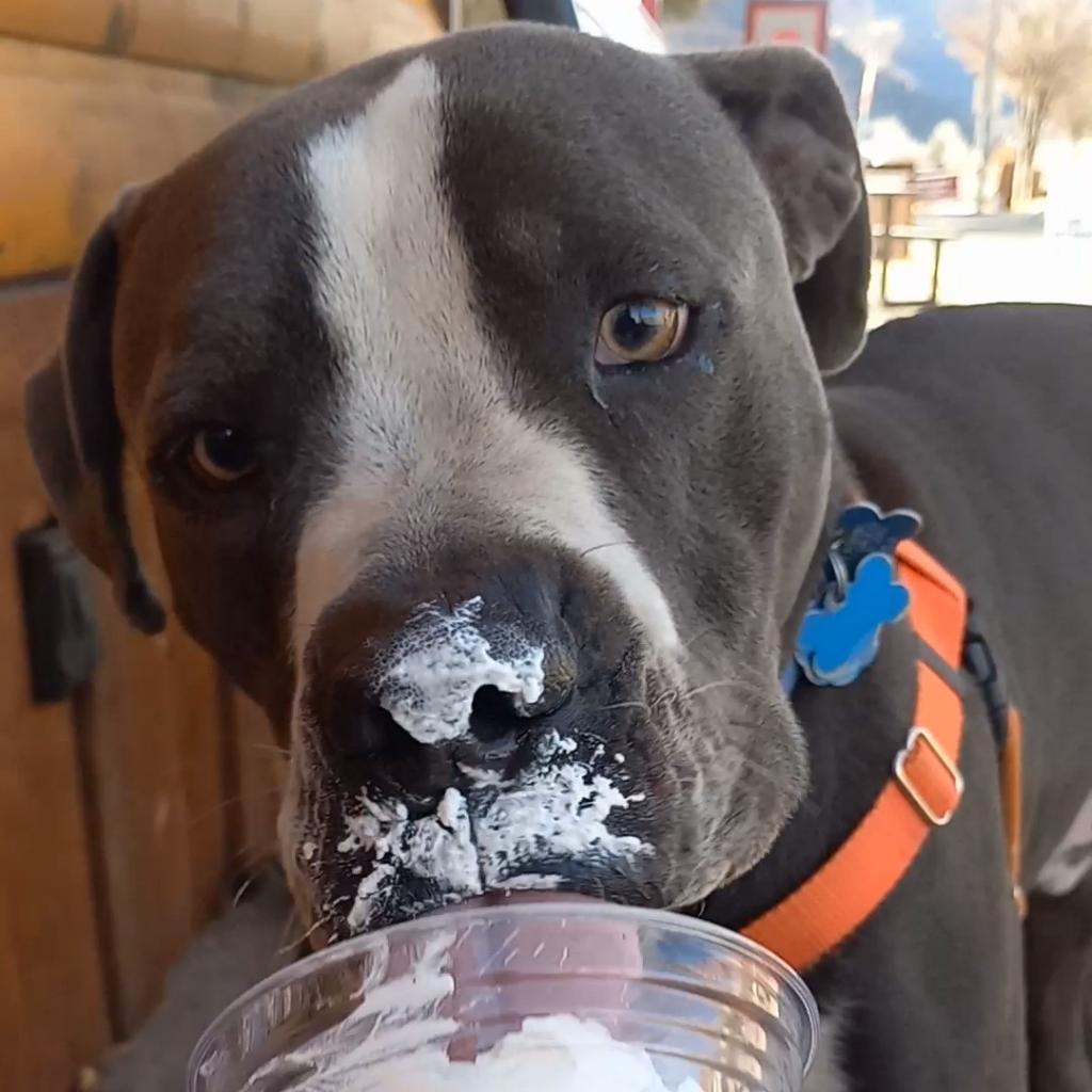 Slim — thumbnail 4