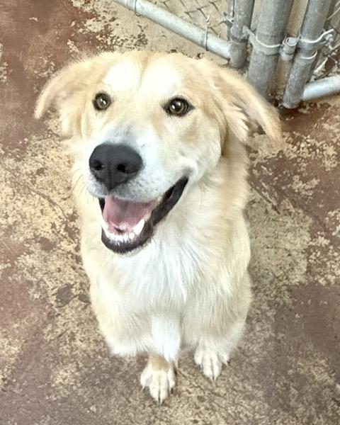 Lucy