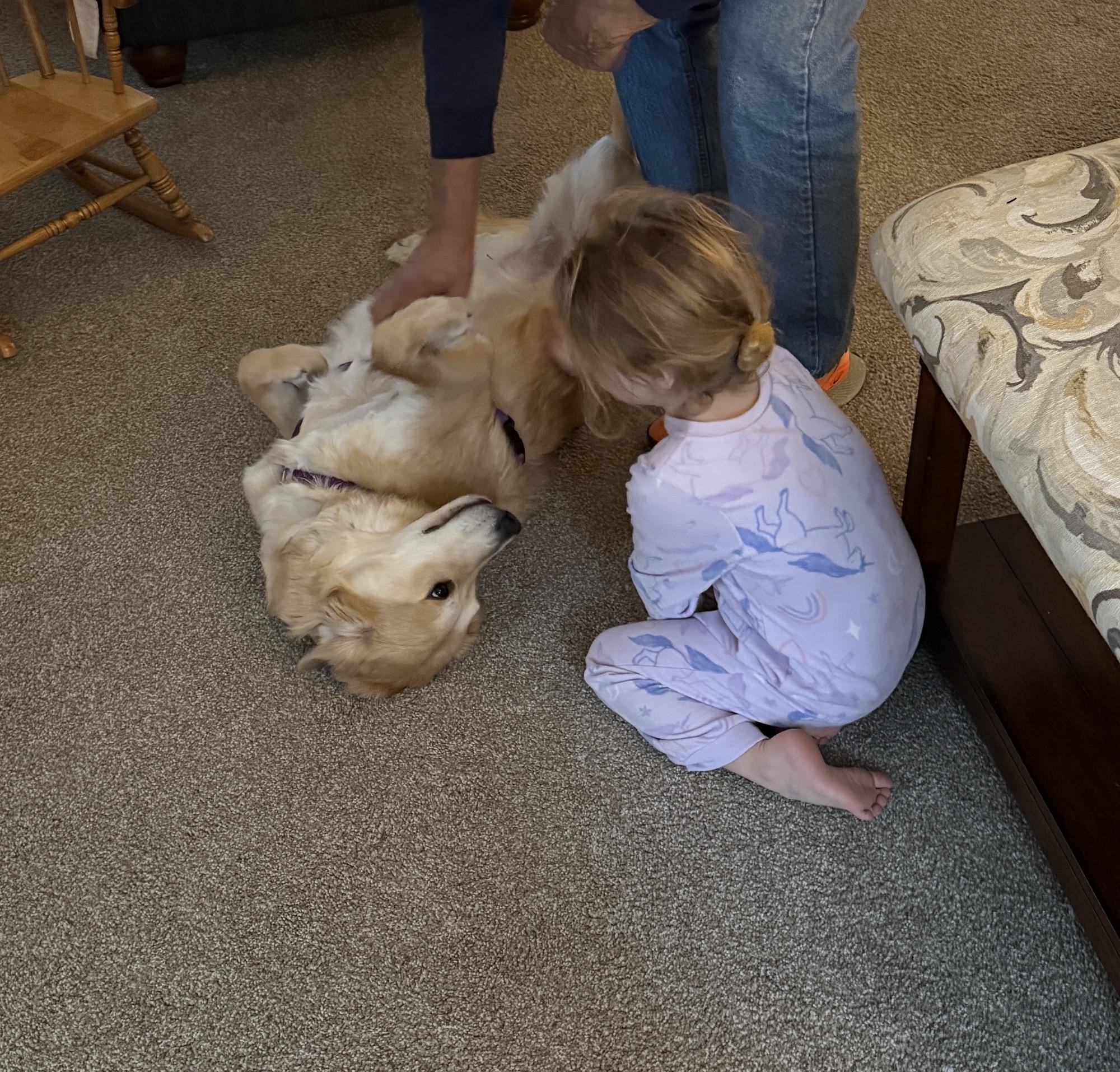 Enlarge Lucy, an adoptable mixed breed in New Canaan, CT image 4/6