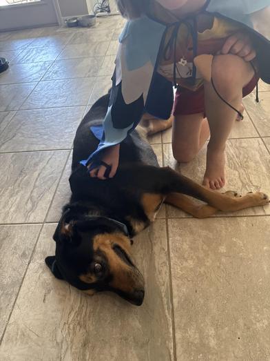 Finn — thumbnail 6