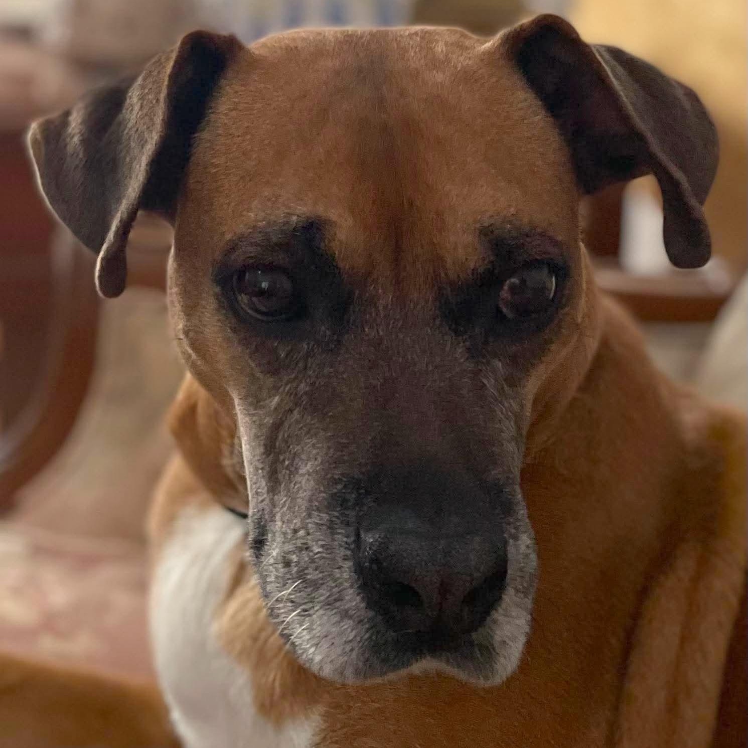 Sabine — thumbnail 3