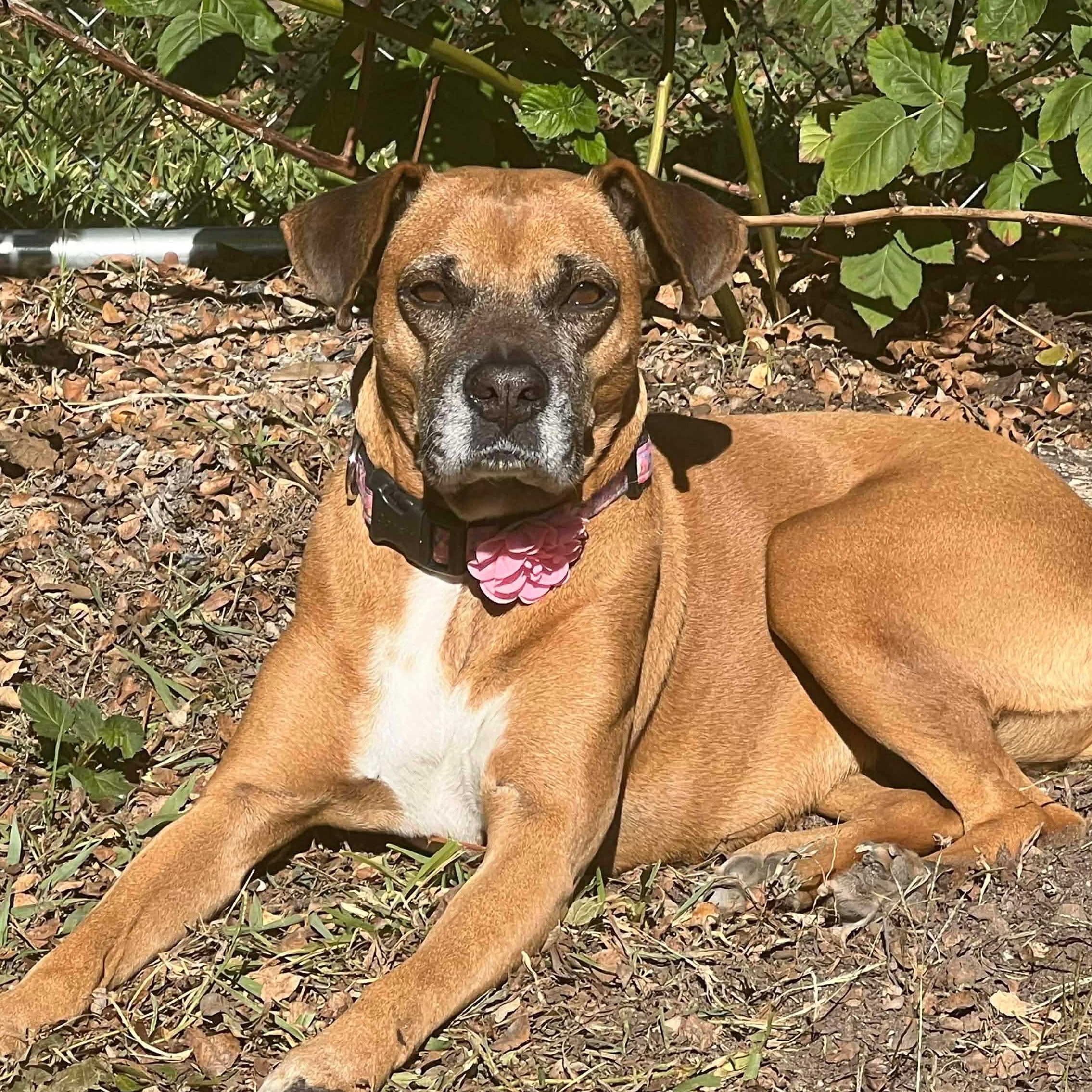 Sabine — thumbnail 5