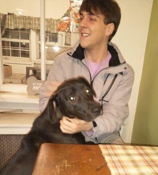 Enlarge Koda, a Adoptable mixed breed in Fredericksburg, VA image 6/6