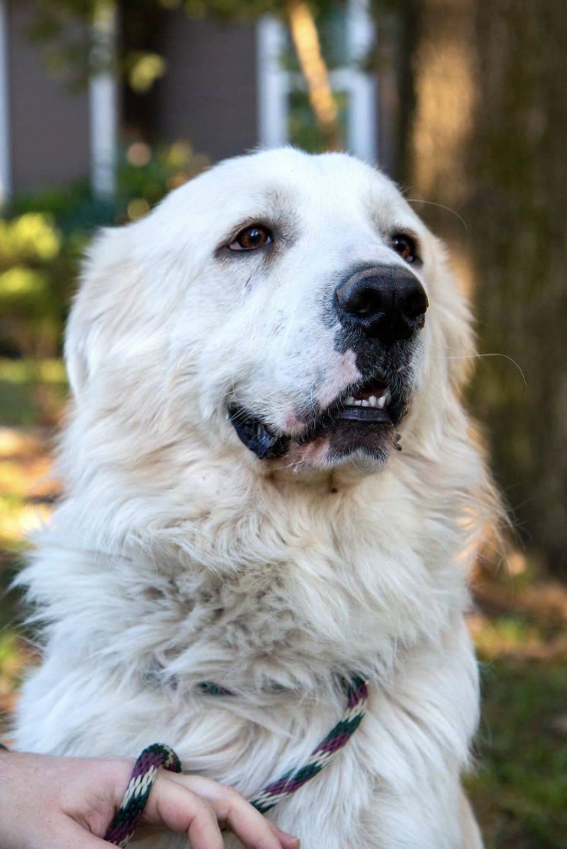 Riley — thumbnail 2