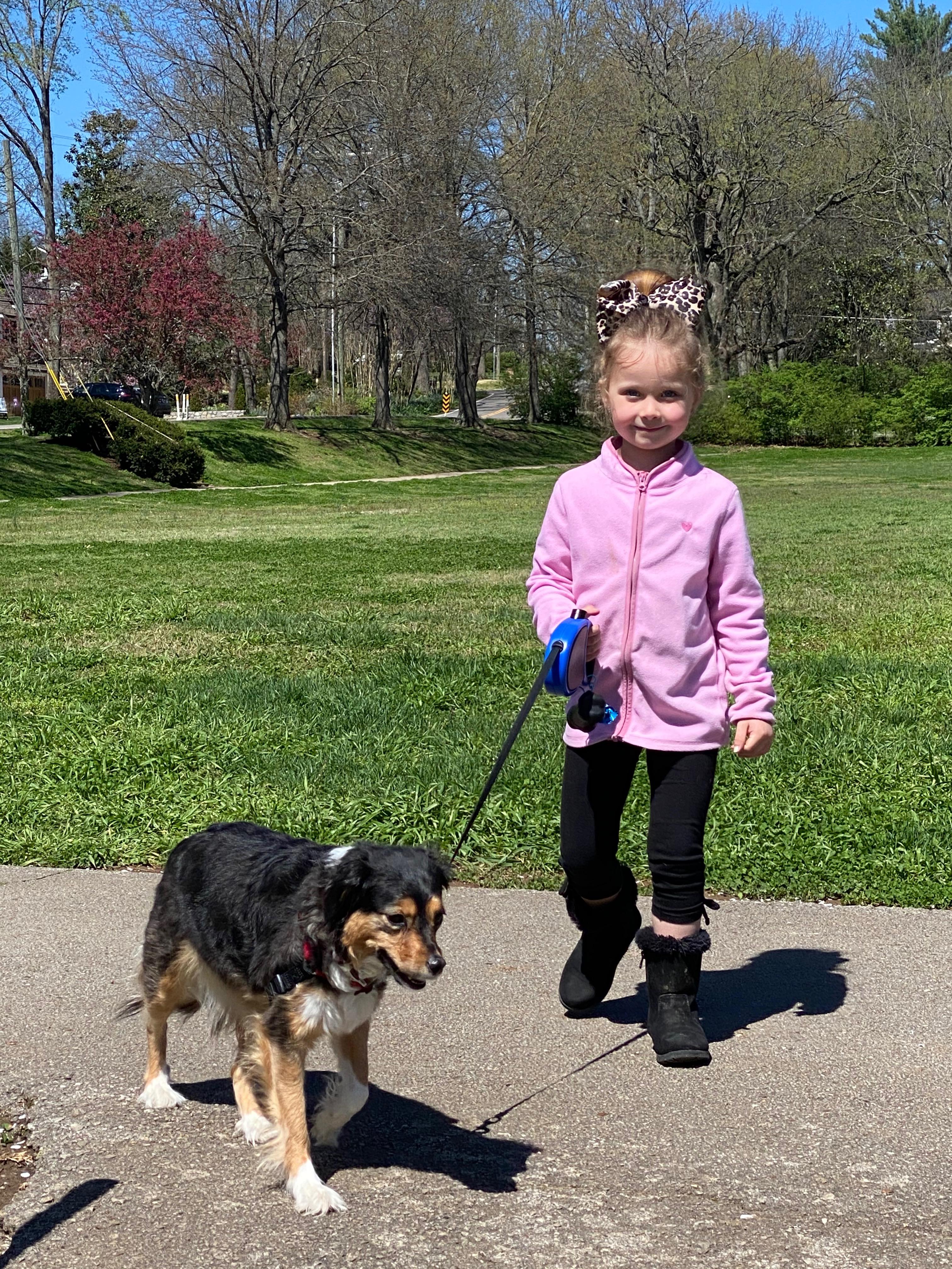 Sadie, a Adoptable mixed breed in Nashville, TN image 4/6