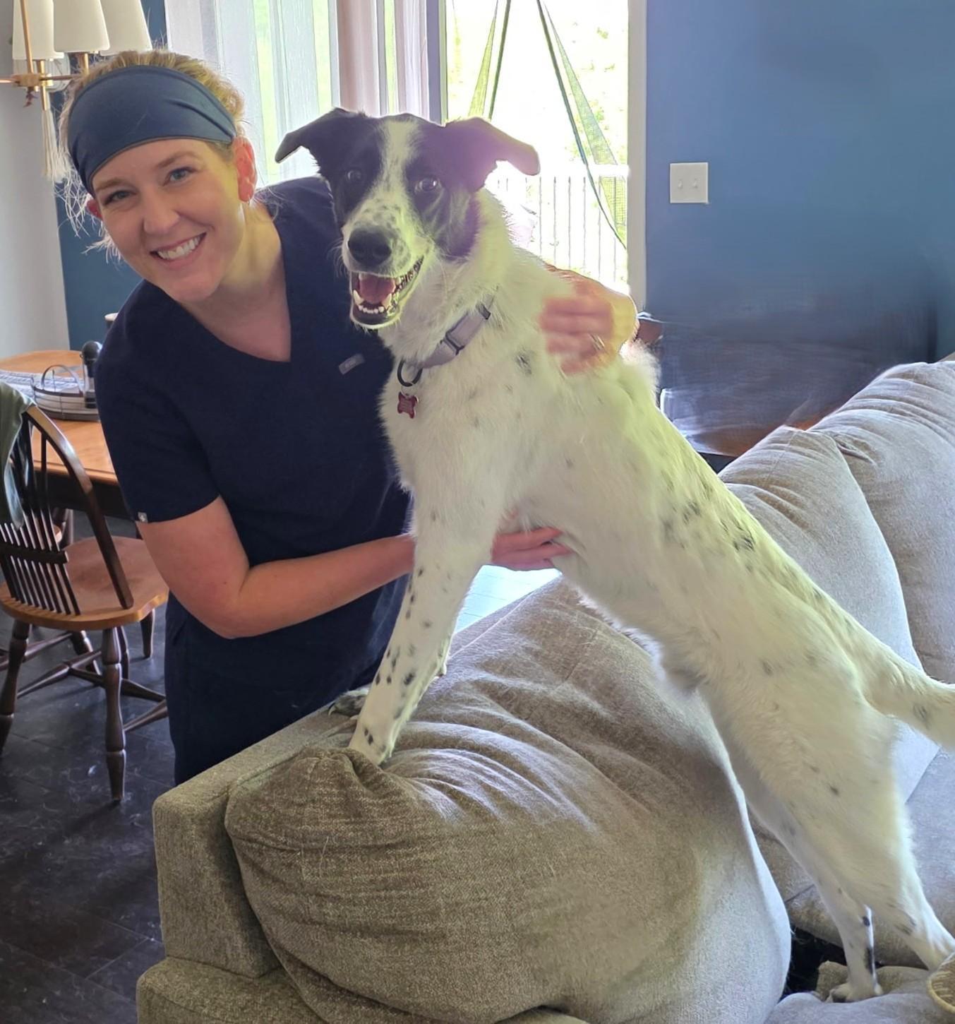 Paul, Adoptable, Young Male Border Collie.