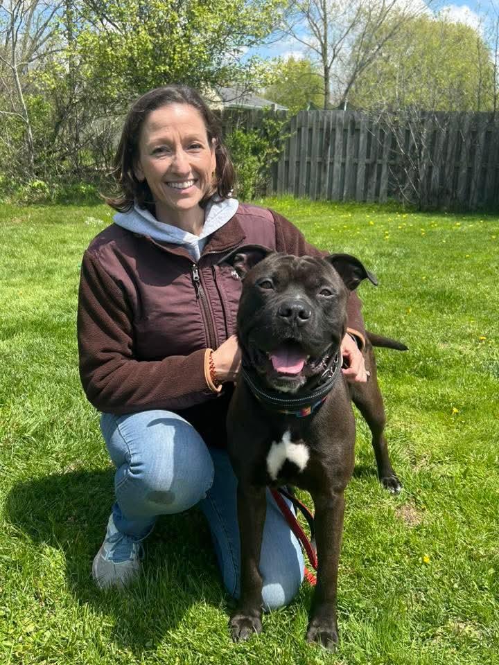 Wesley , a ADOPTABLE mixed breed in Buffalo, NY image 4/6