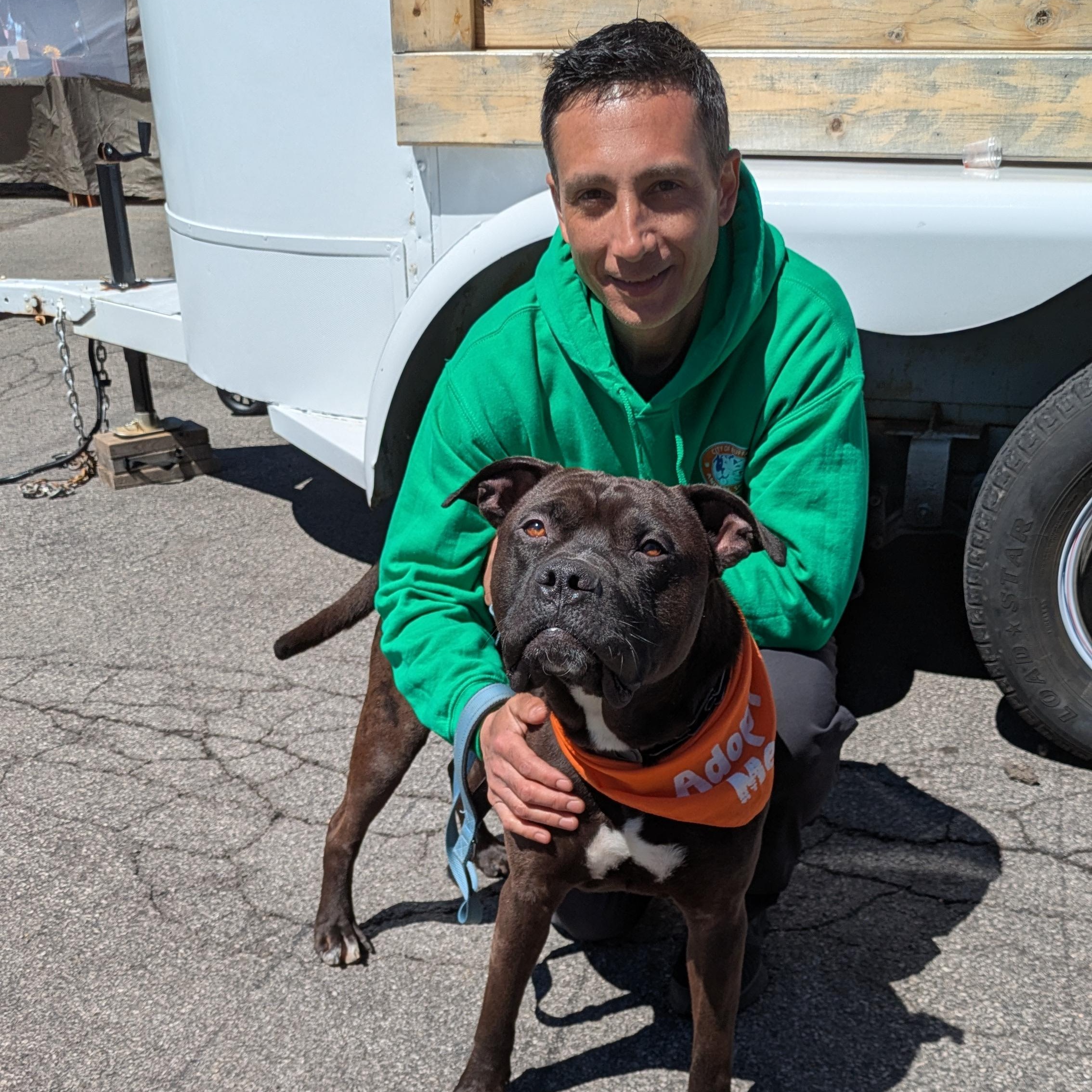 Wesley , a ADOPTABLE mixed breed in Buffalo, NY image 6/6