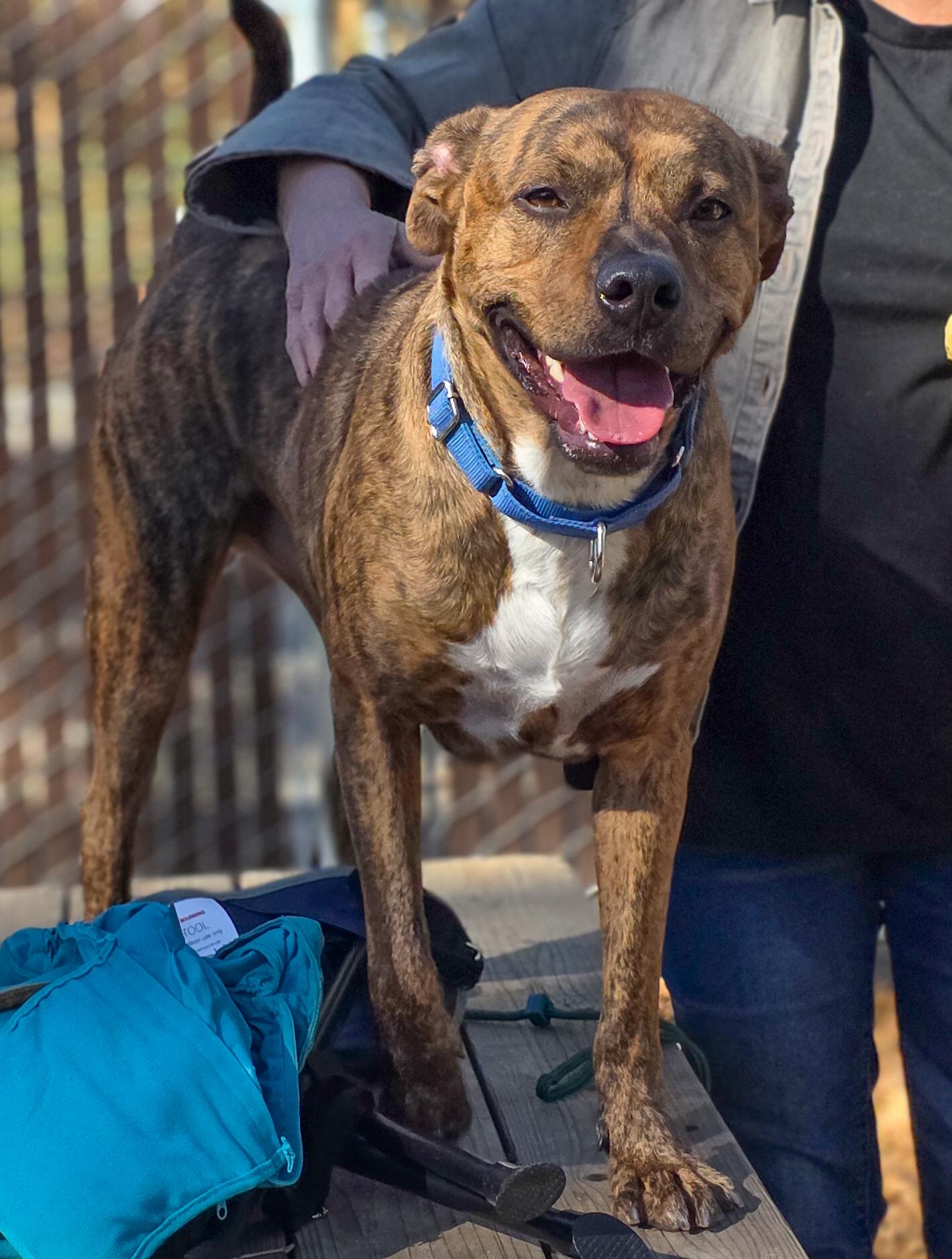 Zeke- Perfect Gentleman