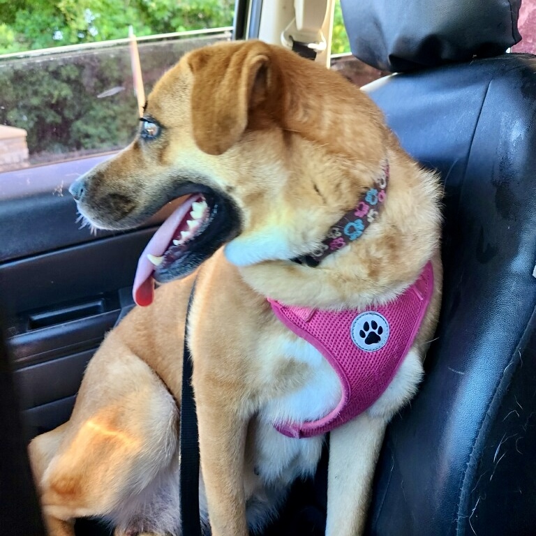 Ellie photo 2