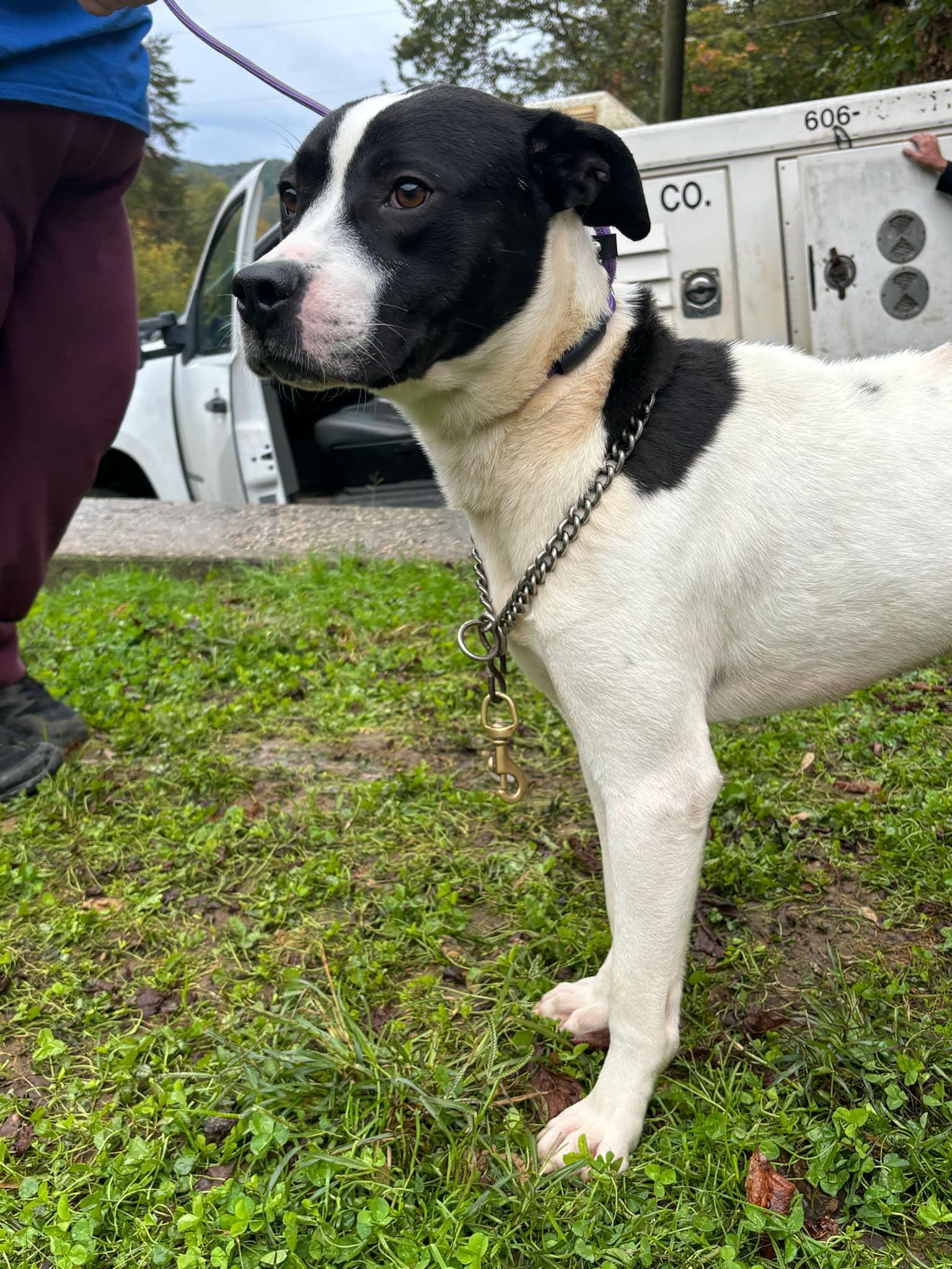 Jeepers (20250206-01)