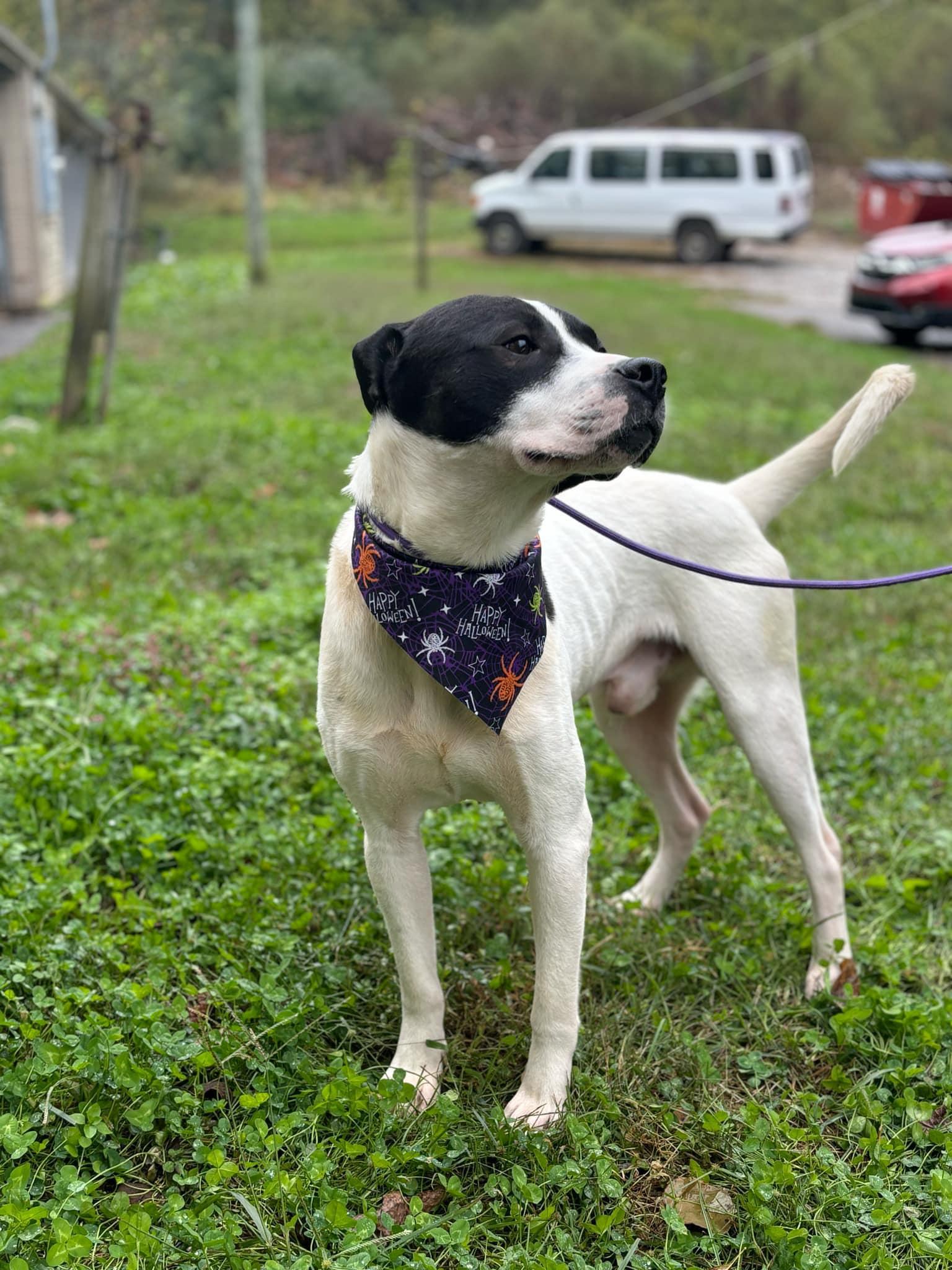 Jeepers (20250206-01) — thumbnail 2