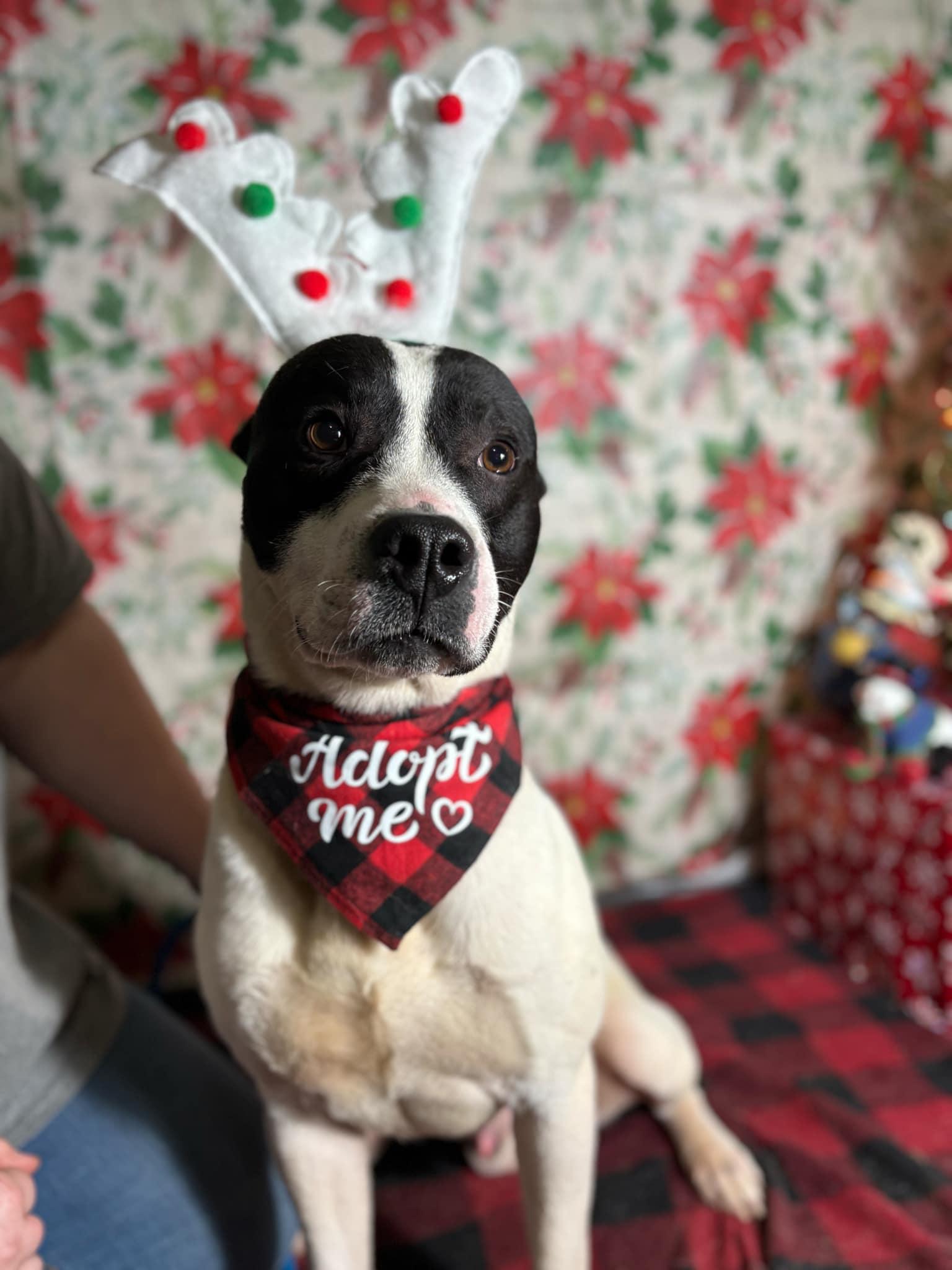 Jeepers (20250206-01) — thumbnail 3