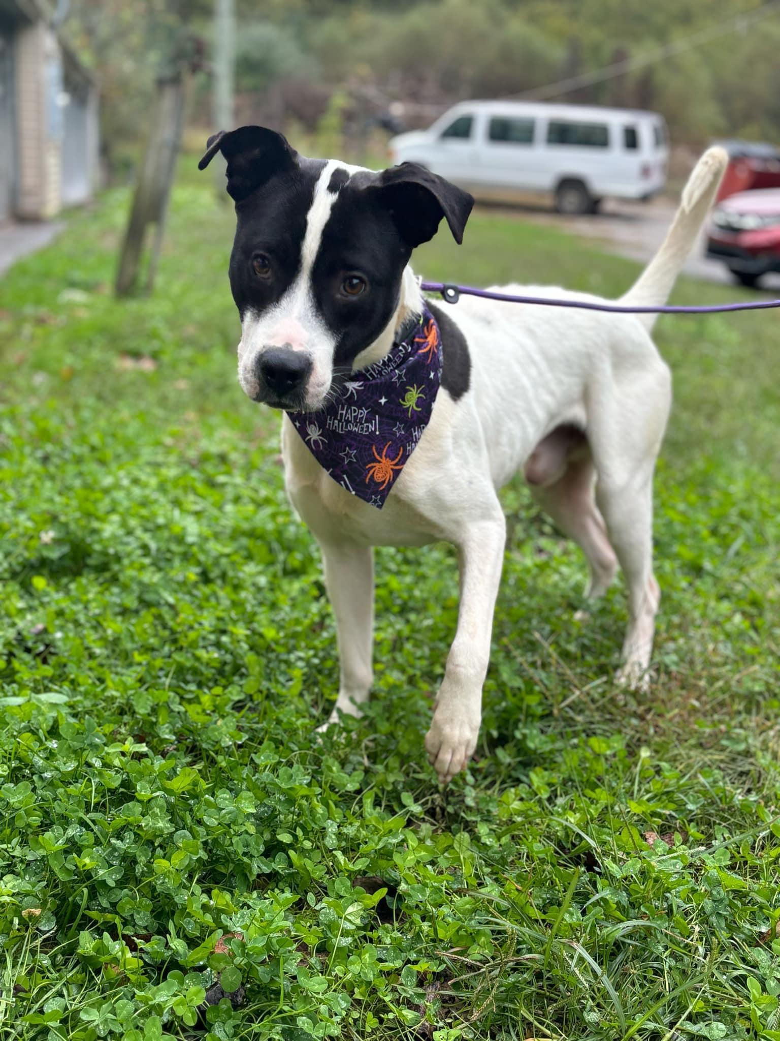 Jeepers (20250206-01) — thumbnail 4