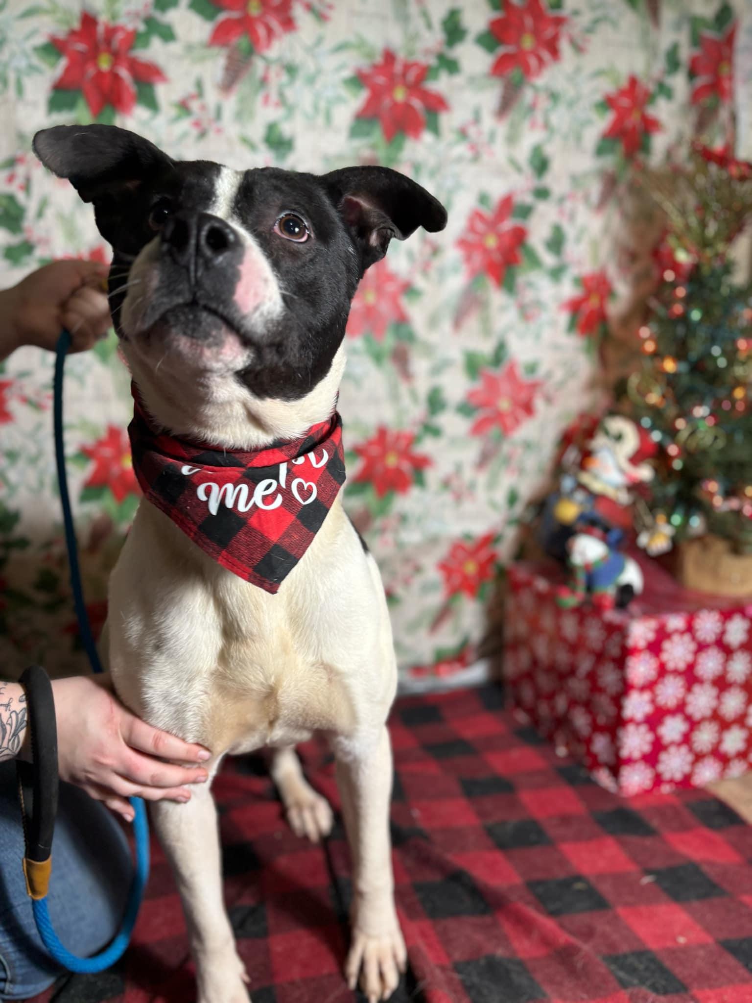 Jeepers (20250206-01) — thumbnail 5