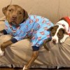 Drax and Mia