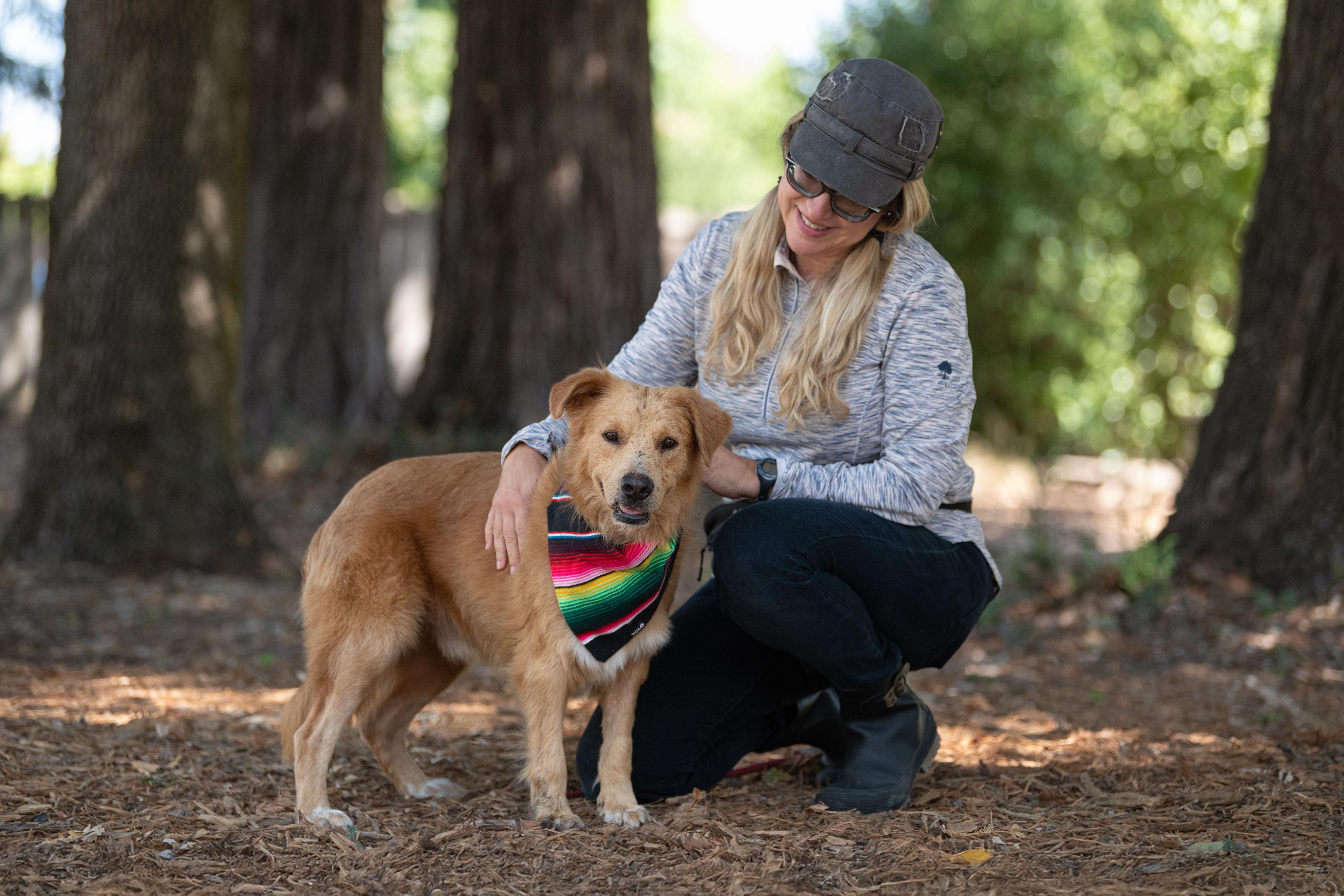 Fabio, a Adoptable mixed breed in Santa Rosa, CA image 3/4