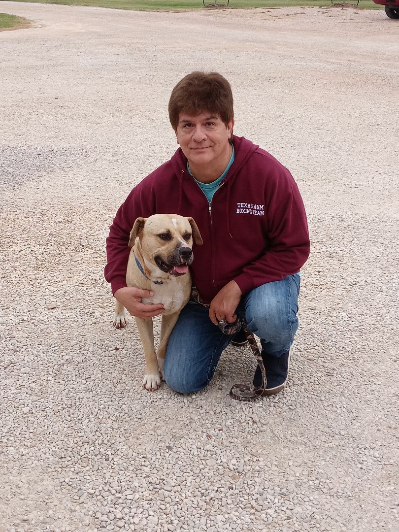 Enlarge Buddy, a Adoptable mixed breed in Brenham, TX image 4/8