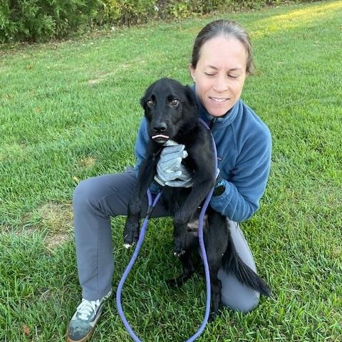 Jet, a Adoptable mixed breed in Jenkintown, PA image 4/6
