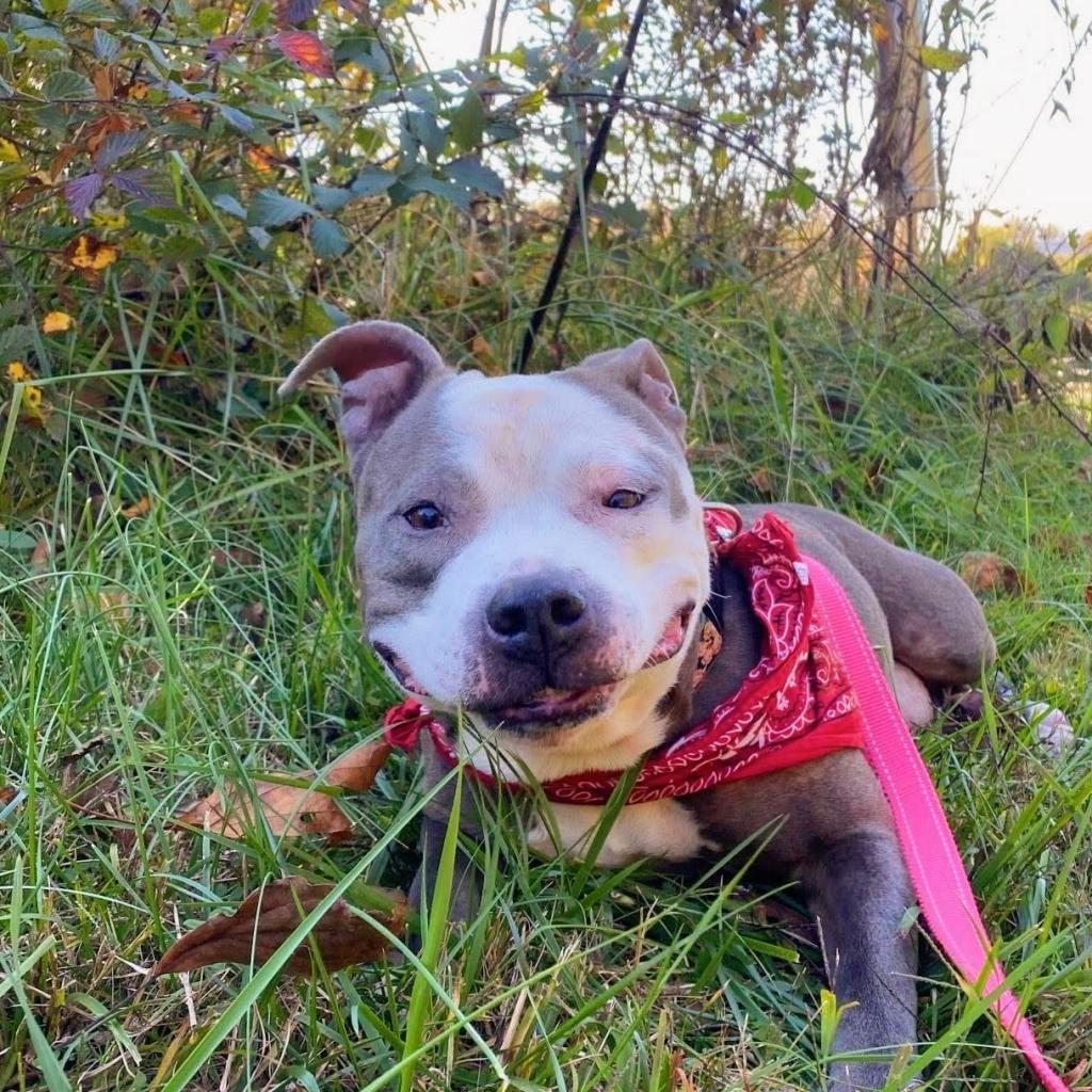 Precious — thumbnail 2