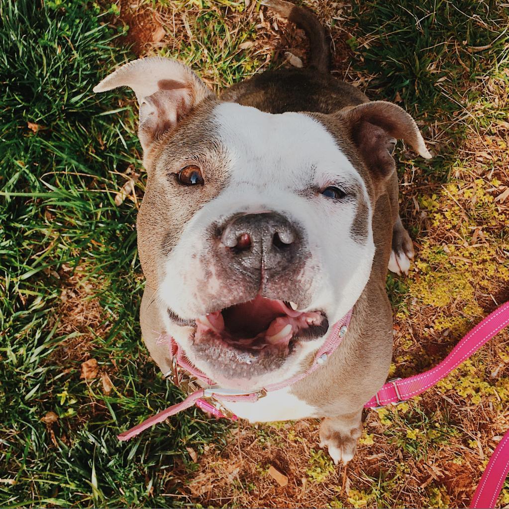 Precious — thumbnail 3